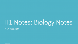 Title page for Biology Notes - H1 Notes